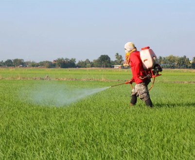 Пуэро-Ріко не збирається відмовлятися від гліфосату