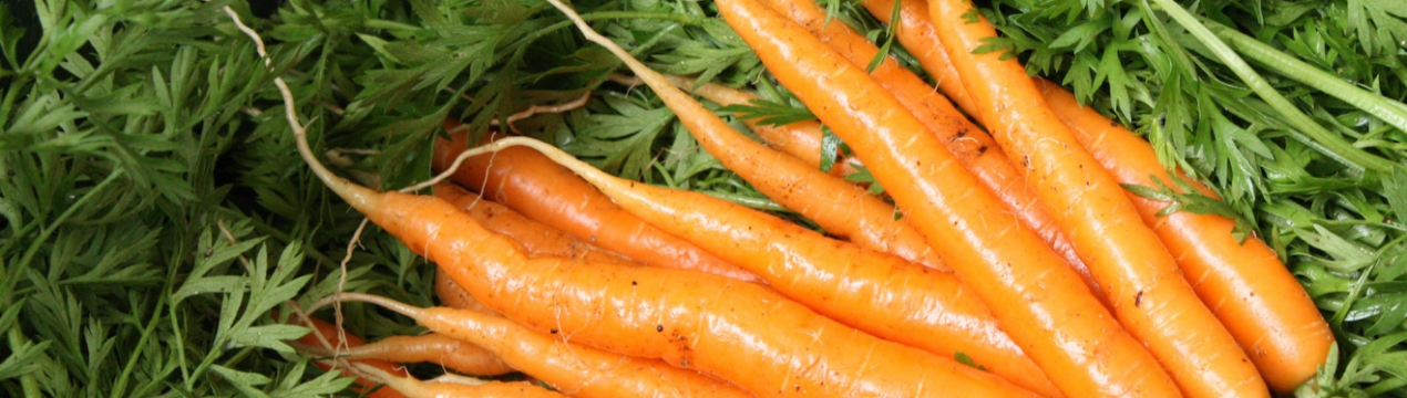 Масовий збір урожаю моркви в Росії знизив її ціну