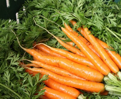 Масовий збір урожаю моркви в Росії знизив її ціну