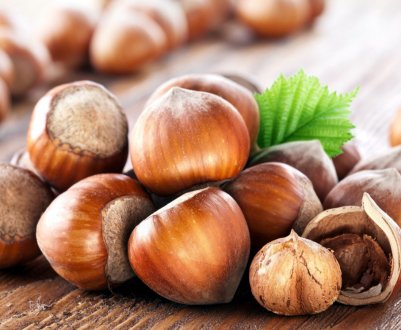 Північна Осетія всерйоз зайнялася вирощуванням італійського фундука