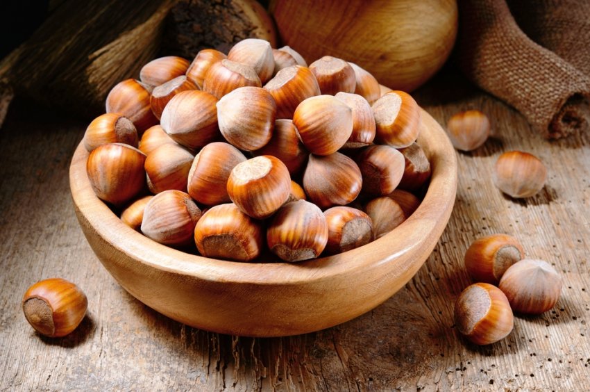 Північна Осетія всерйоз зайнялася вирощуванням італійського фундука Північна Осетія всерйоз зайнялася вирощуванням італійського фундука