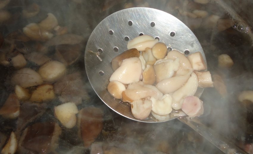 Варіння маслюків перед приготуванням Варіння маслюків перед приготуванням