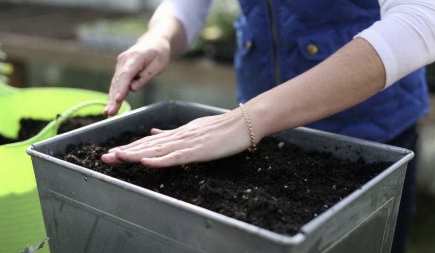 Грунт для розсади Грунт для розсади