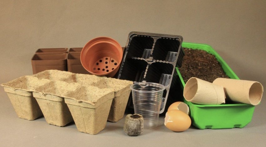 Ємність для розсади Ємність для розсади