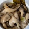 Грибы вешенки — заготовки на зиму в банках, заморозка и сушка: лучшие рецепты. Очень вкусный рецепт маринованных грибов вешенок быстрого приготовления, по-корейски, с чесноком, жареных на зиму