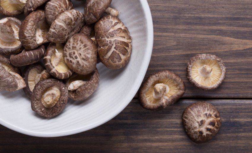 Гриби шиїтаке Гриби шиїтаке