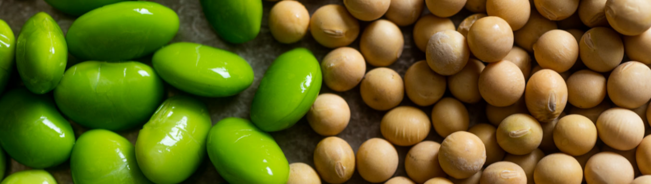 Серпнева спека вплинула на врожайність сої в Grain Alliance