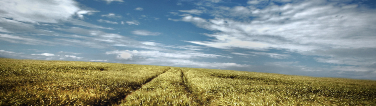 70-80% грунтів України страждають від нестачі поживних речовин