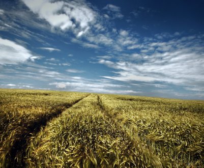 70-80% грунтів України страждають від нестачі поживних речовин