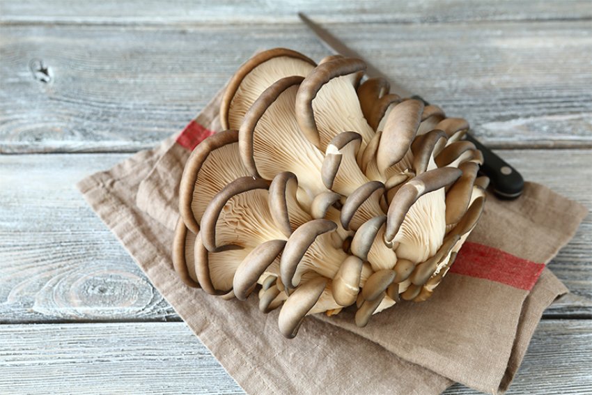 Гливи для салату