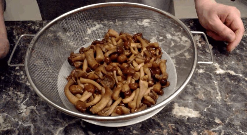 Жареные опята. Опята жарен. Жареные опята фото. Грибы на сковороде. Грибы опята жареные.