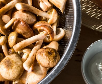 Скільки потрібно варити опеньки перед смаженням і заморожуванням