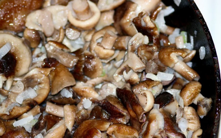 Смажені підберезники Смажені підберезники