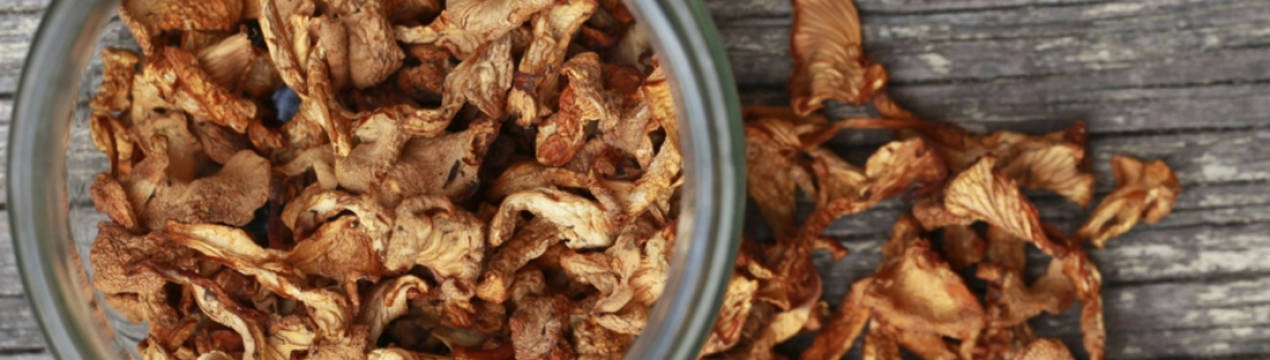 Що можна приготувати із сушених лисичок