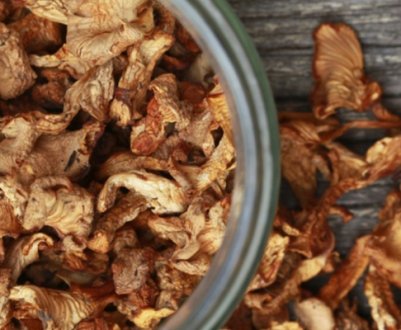 Що можна приготувати із сушених лисичок