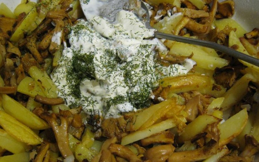 Лисички смажені з картоплею в сметані