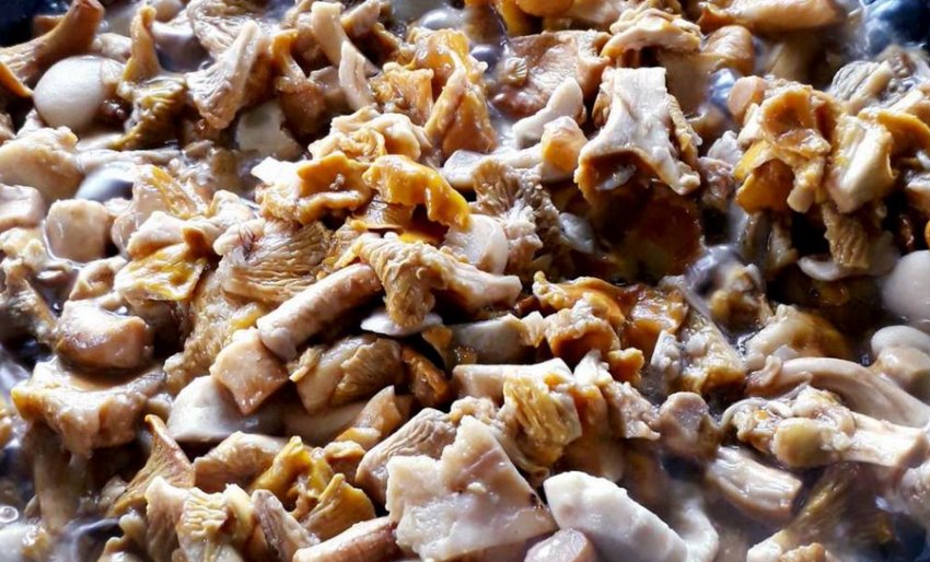 Лисички смажені з волоськими горіхами