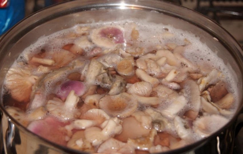 Варіння грибів