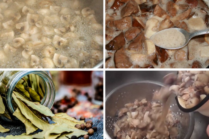 Кип'ятіння грибів