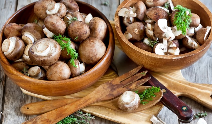 Білі гриби та печериці Білі гриби та печериці