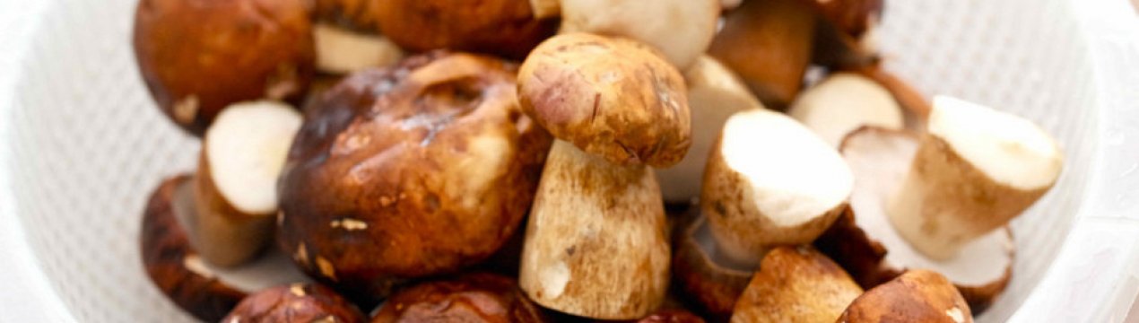 Відварювання білих грибів перед смаженням: потрібно, як правильно