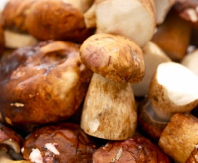 Відварювання білих грибів перед смаженням: потрібно, як правильно