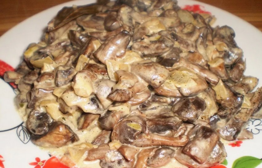 Підберезники Підберезники