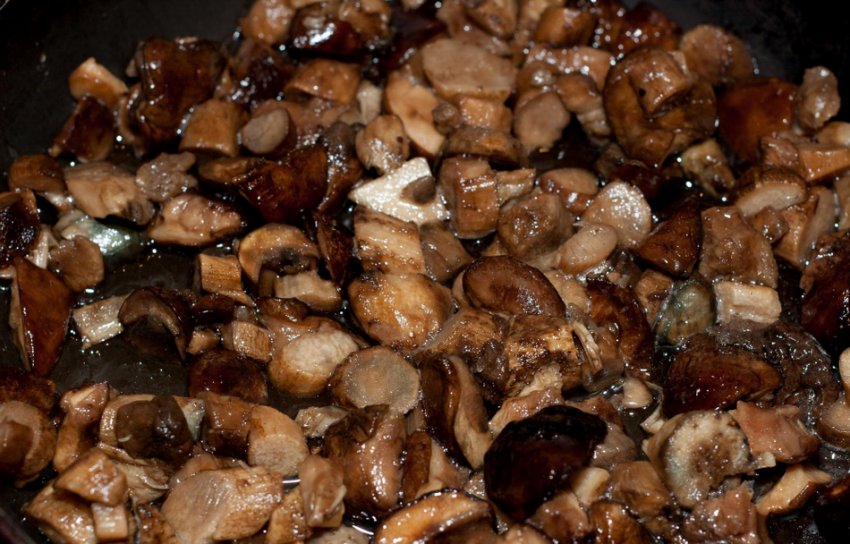 Підберезники жареные Підберезники жареные