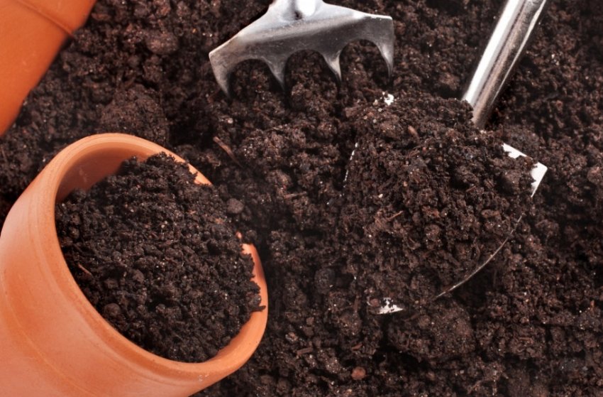 Підготовка грунту