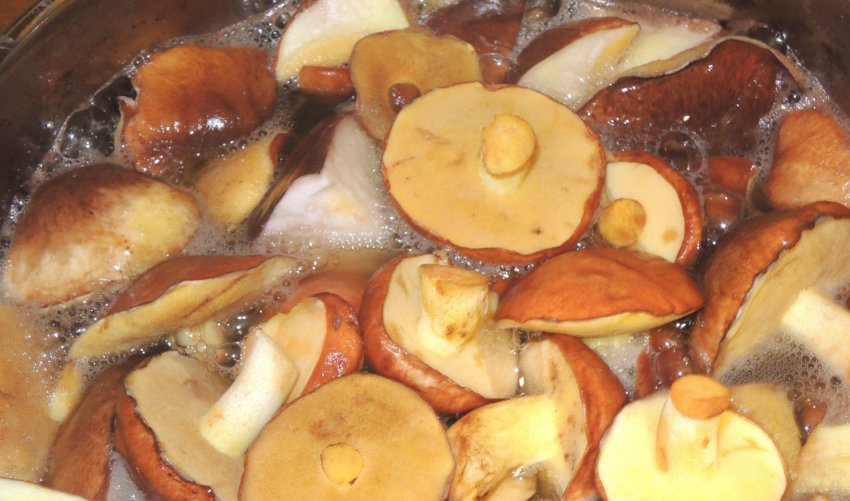 Приготування маслюків Приготування маслюків