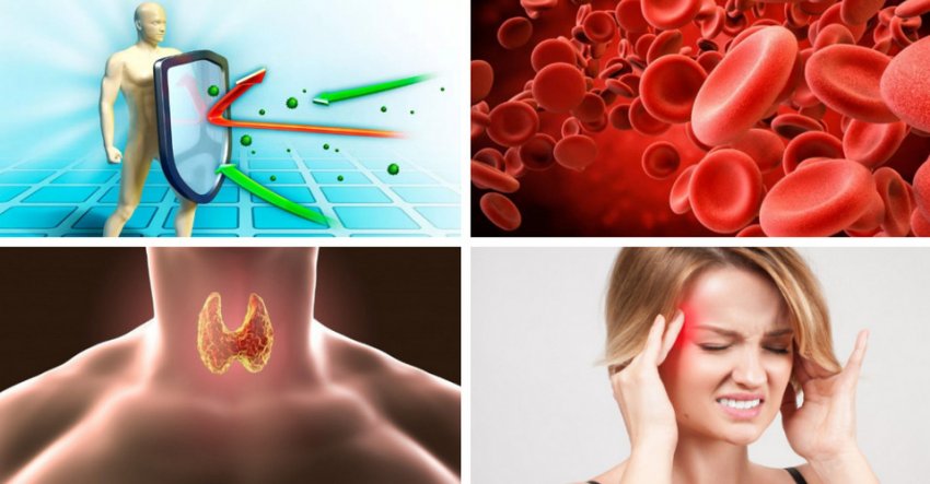 Благотворний вплив маслюків на організм