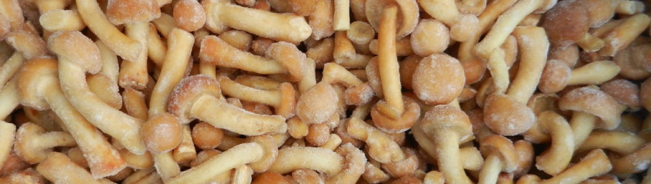 Що можна приготувати із заморожених опеньків