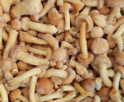 Що можна приготувати із заморожених опеньків