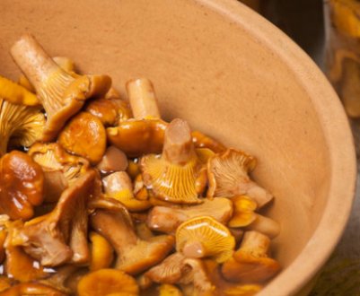 Як замаринувати лисички в домашніх умовах