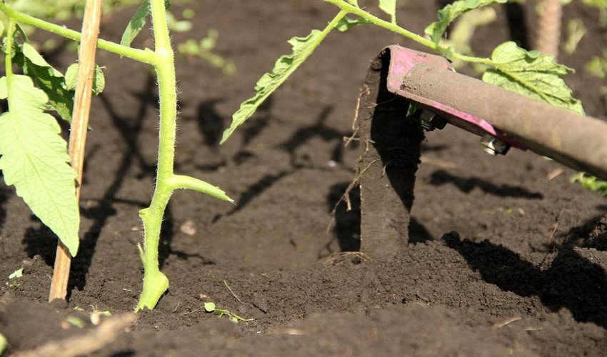 Розпушування грунту Розпушування грунту