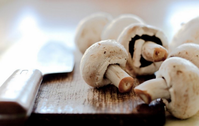 Свіжі печериці