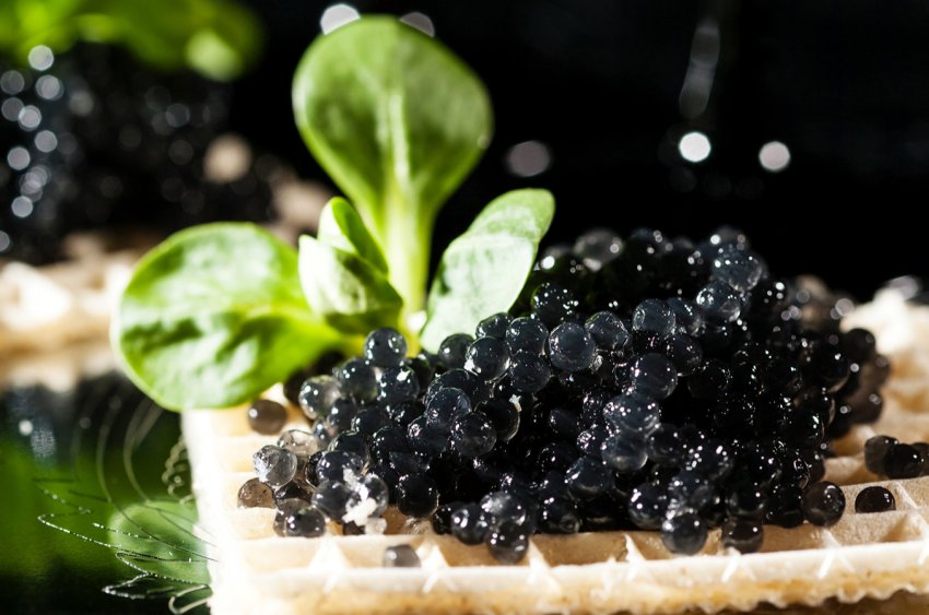 Українська компанія експортує ікру власного виробництва в США