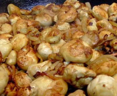 Приготування гриба дощовика