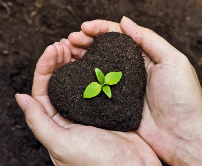 М'янма збирається стати експортером насіння в найближчі 5-10 років