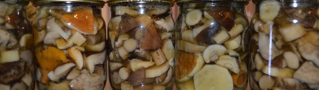 Як солити підберезники на зиму