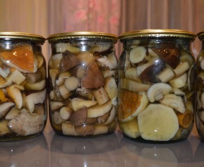 Як солити підберезники на зиму