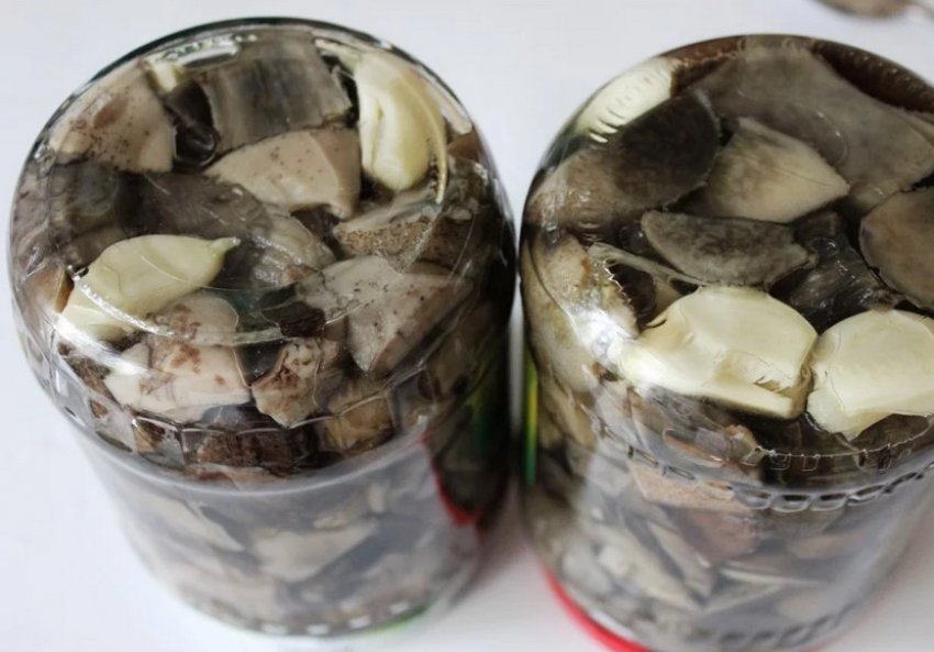 Гриби Гриби