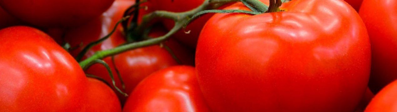 Помідор це ягода або овоч