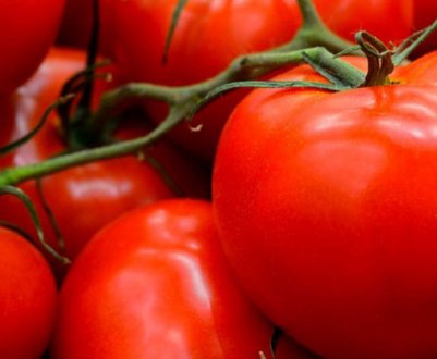 Помідор це ягода або овоч