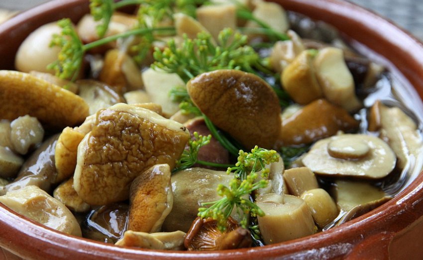 Мариновані гриби Мариновані гриби