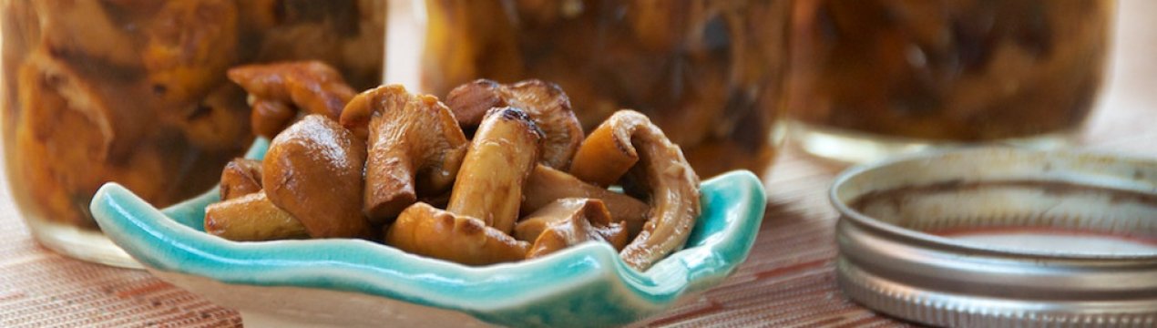 Заготівля рижиків на зиму