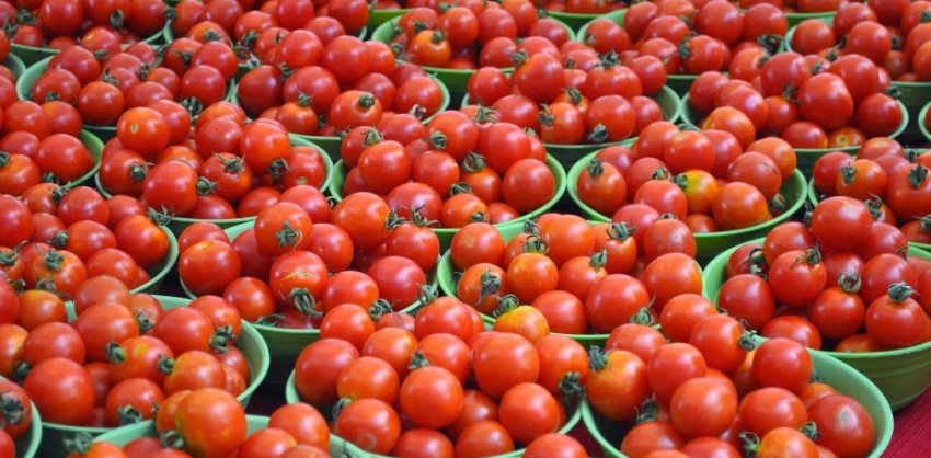 Томати Томати