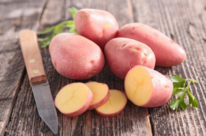 Рекордний неврожай картоплі зафіксований на Прикарпатті Рекордний неврожай картоплі зафіксований на Прикарпатті