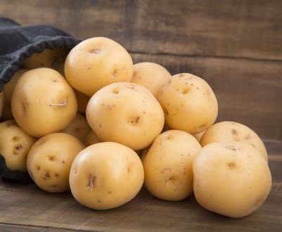 Рекордний неврожай картоплі зафіксований на Прикарпатті