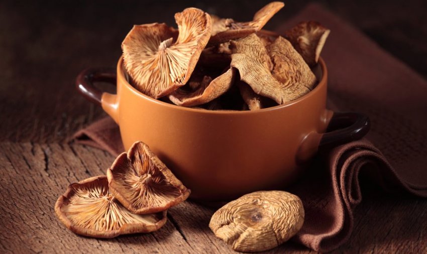 Сушені опеньки Сушені опеньки